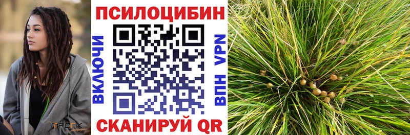 Псилоцибиновые грибы ЛСД  Купить  Белёв 