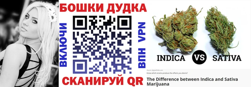 Купить закладки  Белёв  Марихуана SATIVA & INDICA 